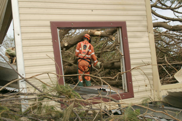 Tree and Shrub Care in University Of California Davis, CA
